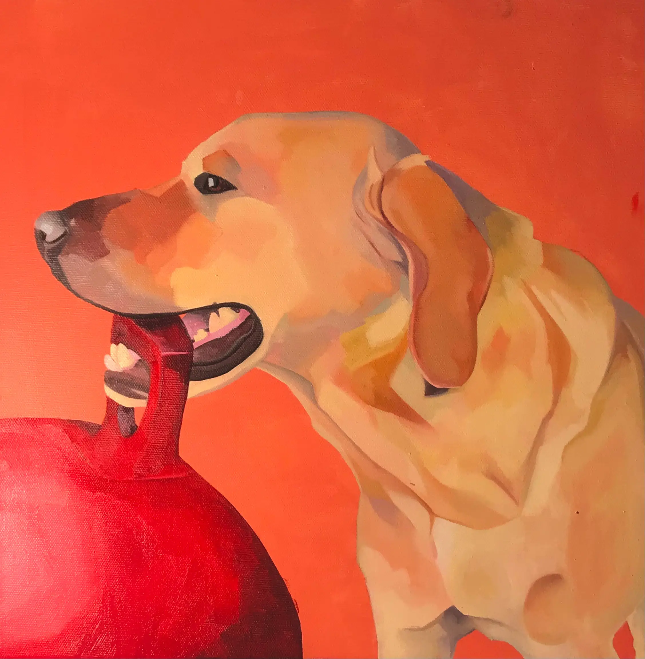 Some Dog